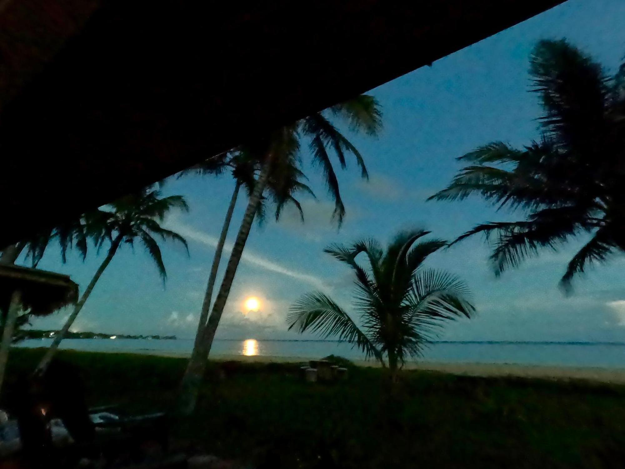 Coconut Castle At La Lodge At Long Bay South End Bagian luar foto
